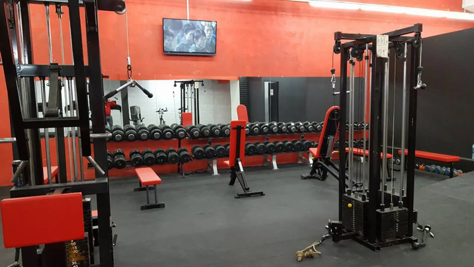 Zona de peso libre de Champions Sport